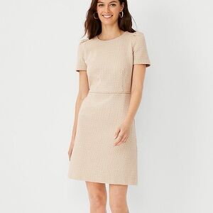 Ann Taylor Flare Geo Dress in Cream 8 NEW